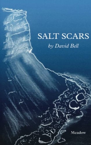 Salt Scars