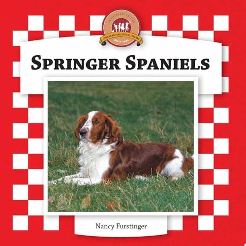 Springer Spaniels
