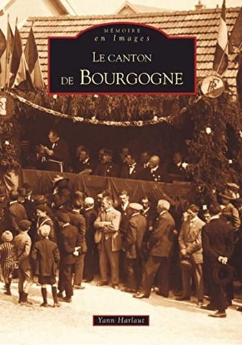 Le canton de Bourgogne
