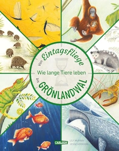 Von Eintagsfliege bis Grönlandwal Wie lange Tiere leben
