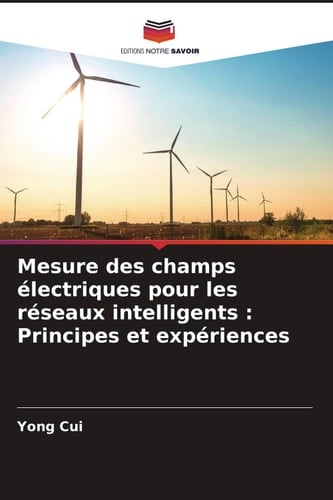 Mesure des champs électriques pour les réseaux intelligents : Principes et expériences (French Edition)