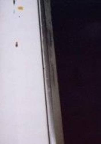 Cockroach Diary 1996-1999