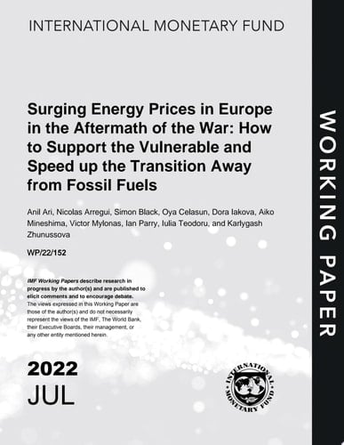 Surging Energy Prices in Europe in the Aftermath of the War: How to Support the Vulnerable and Speed Up the Transition Away from Fossil Fuels