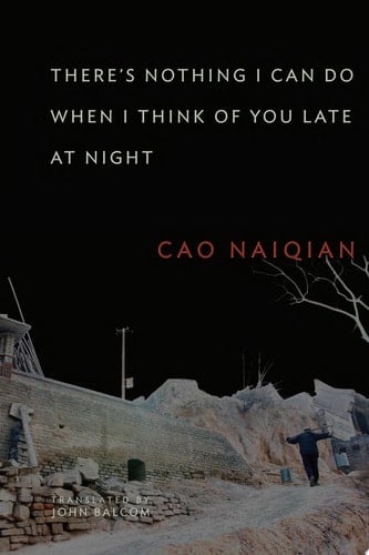 There’s Nothing I Can Do When I Think of You Late at Night