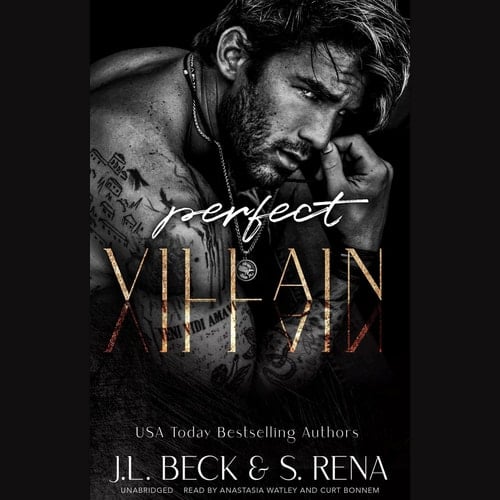 Perfect Villain (The Dark Lies Duet)