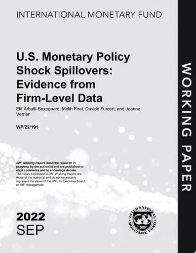 U.S. Monetary Policy Shock Spillovers: Evidence from Firm-Level Data