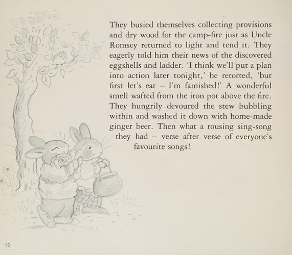 The Camping Adventure