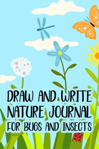 Draw & Write Nature Journal For Bugs And Insects: Writing And Drawing Pages For Children, Entomology Workbook For Insect Discoveries And Observations