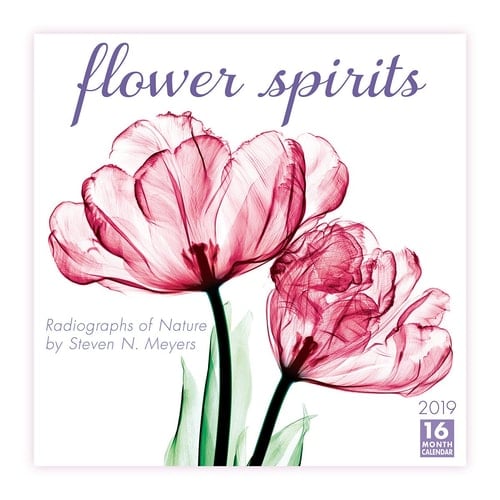 Flower Spirits 2019 Wall Calendar