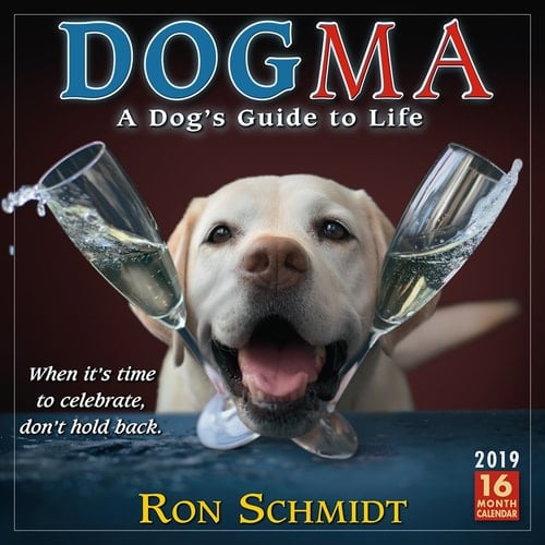 Dogma 2019 Wall Calendar