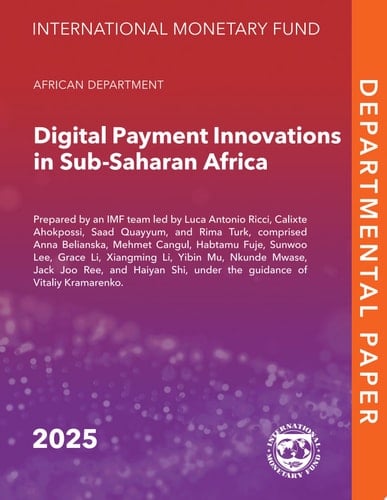 Digital Payment Innovations in Sub-Saharan Africa