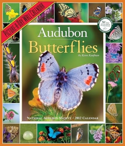 Audubon Butterflies Calendar 2012