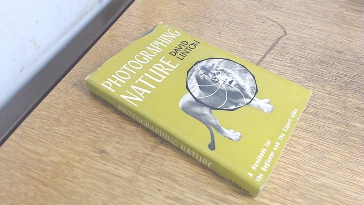 Photographing Nature