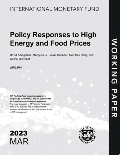 Policy Responses to High Energy and Food Prices