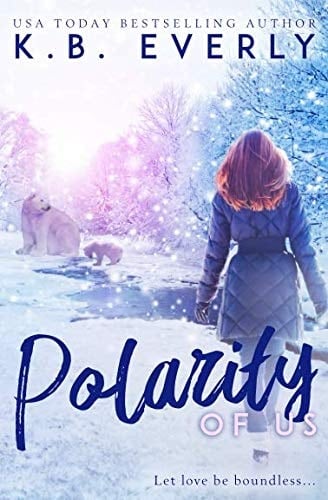 Polarity of Us A Northern Lights Novel