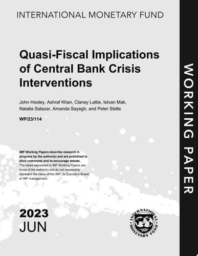 Quasi-Fiscal Implications of Central Bank Crisis Interventions
