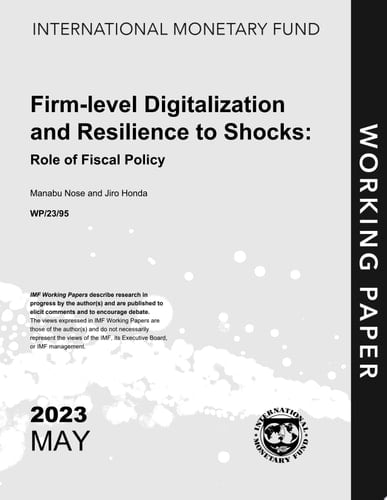 Firm-Level Digitalization and Resilience to Shocks: Role of Fiscal Policy