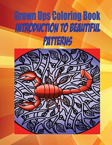 Grown Ups Coloring Book Introduction To Beautiful Patterns