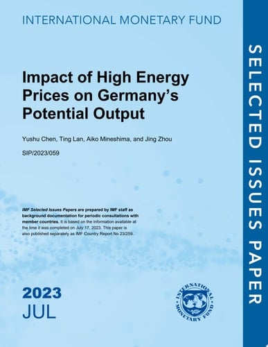 Impact of High Energy Prices on Germany’s Potential Output