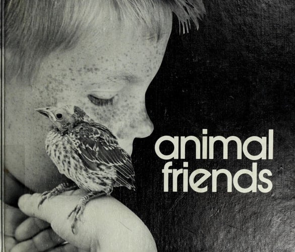 Animal Friends