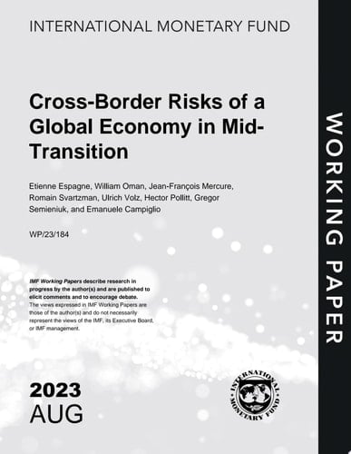Cross-Border Risks of a Global Economy in Mid-Transition