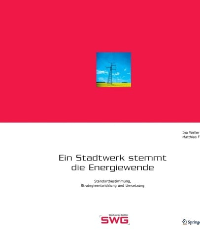 Ein Stadtwerk stemmt die Energiewende Standortbestimmung, Strategieentwicklung und Umsetzung