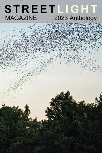 Streetlight Magazine 2023 Anthology