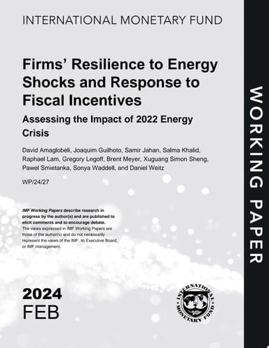Firms’ Resilience to Energy Shocks and Response to Fiscal Incentives: Assessing the Impact of 2022 Energy Crisis