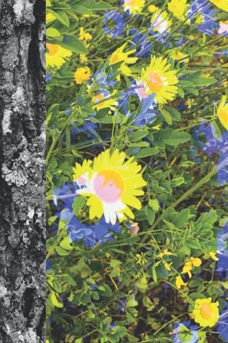 Trippy Daisy 100 Sheet Notebook