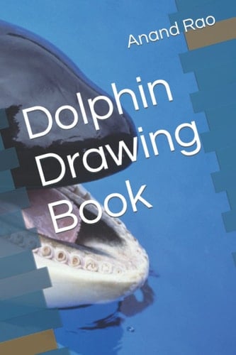 Dolphin Drawing Book