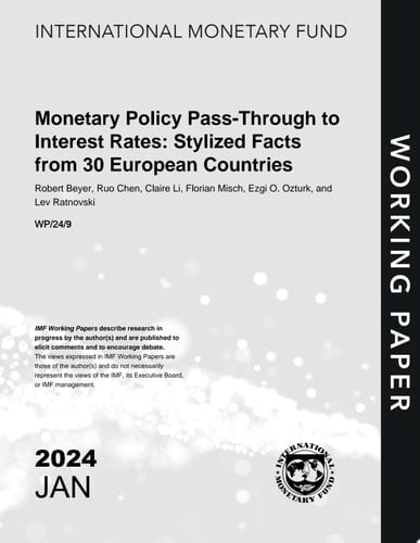 Monetary Policy Pass-Through to Interest Rates: Stylized Facts from 30 European Countries