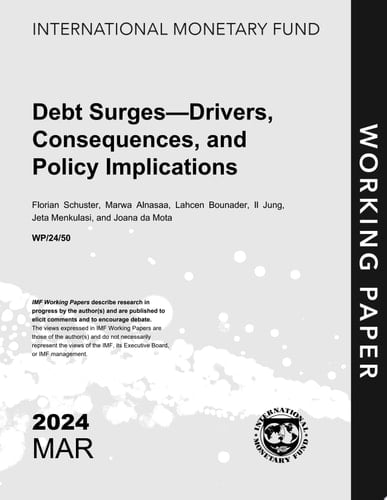 Debt Surges—Drivers, Consequences, and Policy Implications