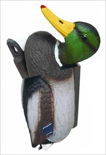 No New Kind of Duck Would I Know how to Say what I Do?