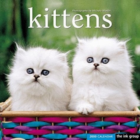 Kittens 2000 Calendar