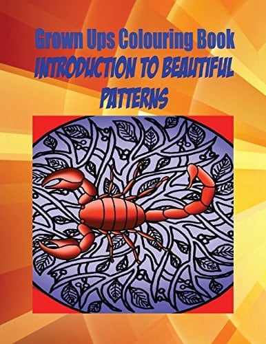 Grown Ups Colouring Book Introduction to Beautiful Patterns Mandalas