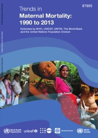 Trends in Maternal Mortality 1990 to 2013