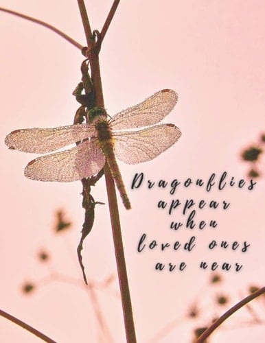 Dragonflies Appear When Loved Ones are Near: 100 Page dot grid journal