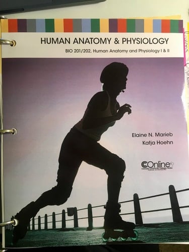 Human Anatomy and Physiology (Bio 201/202 CCC online Colorado community college online book)
