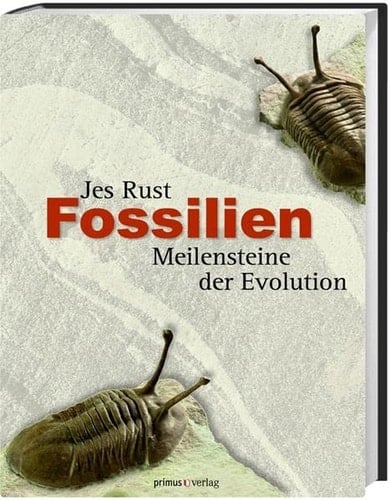 Fossilien Meilensteine der Evolution