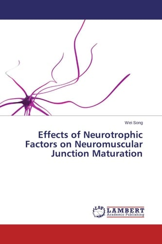 Effects of Neurotrophic Factors on Neuromuscular Junction Maturation