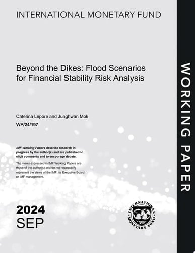 Beyond the Dikes: Flood Scenarios for Financial Stability Risk Analysis