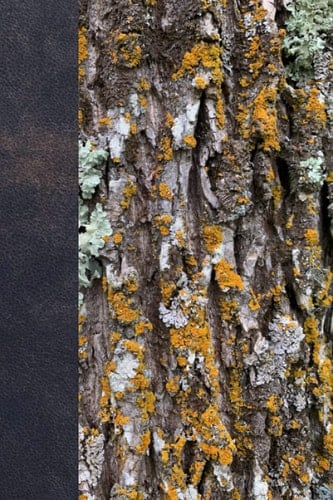 Tree Bark With Lichen 100 Sheet Notebook