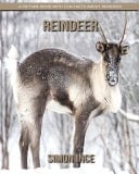 Reindeer: a Picture Book with Fun Facts about Reindeer