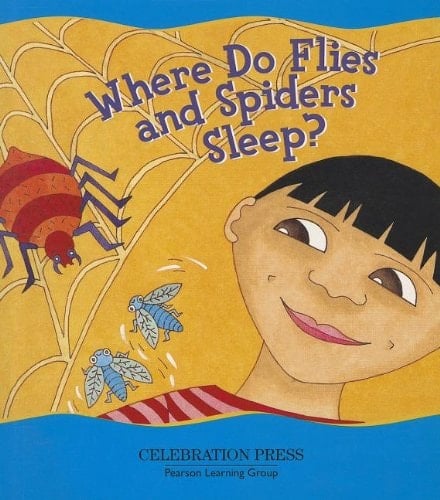 Where Do Flies and Spiders Sleep?