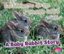 La Historia de un Conejo Bebé/a Baby Rabbit Story
