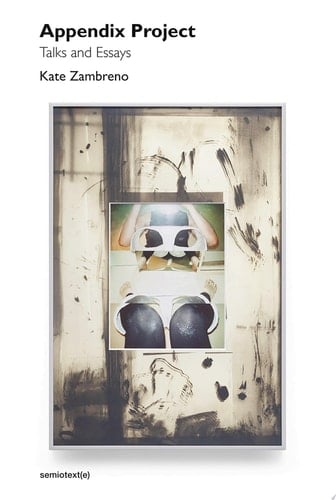 Appendix Project Talks and Essays