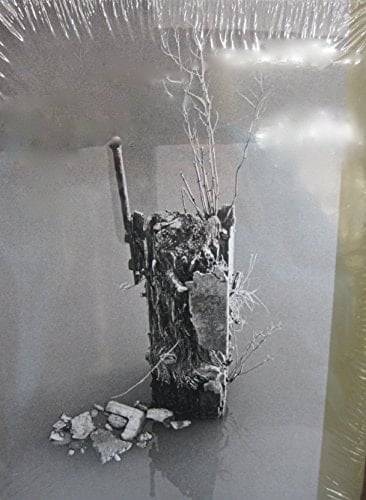 Microtome Pádraig Timoney, 2014