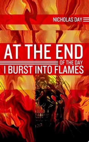 At The End of the Day I Burst Into Flames