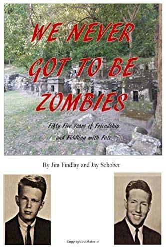 We Never Got to be Zombies