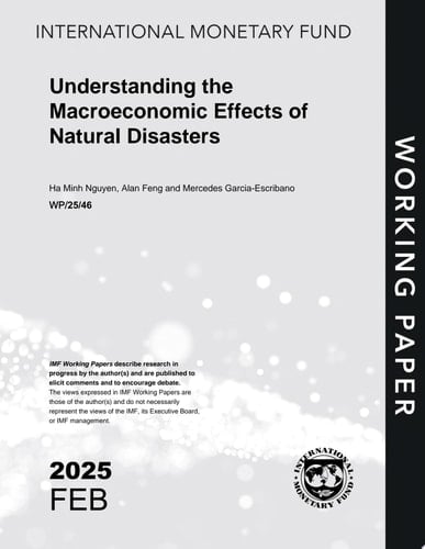 Understanding the Macroeconomic Effects of Natural Disasters